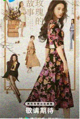 大力女子姜南顺 韩剧在线观看高清免费